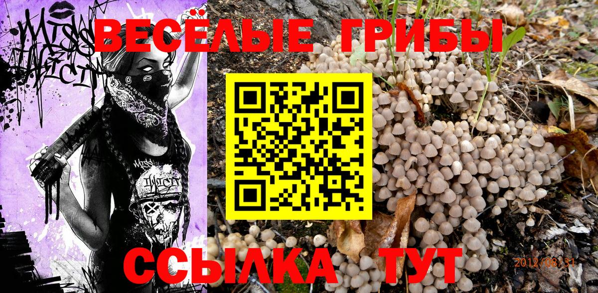 Галлюциногенные грибы мухоморы  Вход с VPN  Гусев 